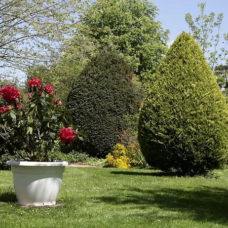 Chateau De La Flechere Bed & Breakfast Blacé