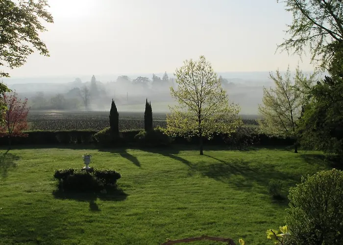 Chateau De La Flechere Blacé