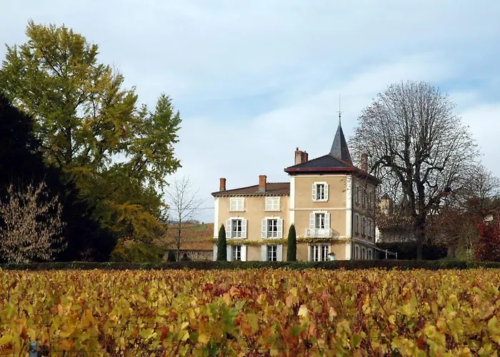 Bed & Breakfast Chateau De La Flechere Blacé