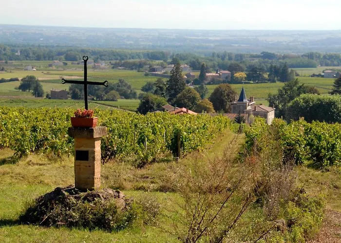 Chateau De La Flechere Bed & Breakfast