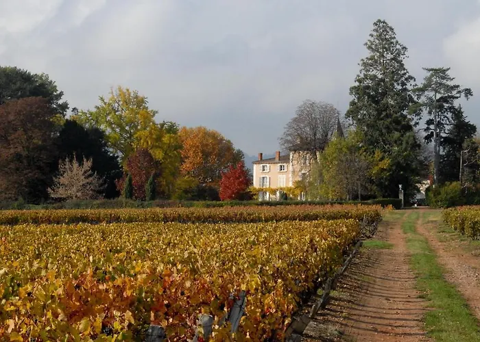Chateau De La Flechere